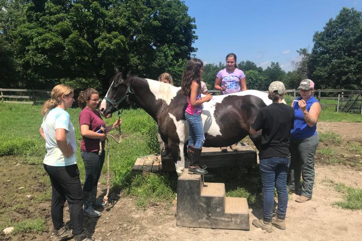 a group of people standing next to a horse