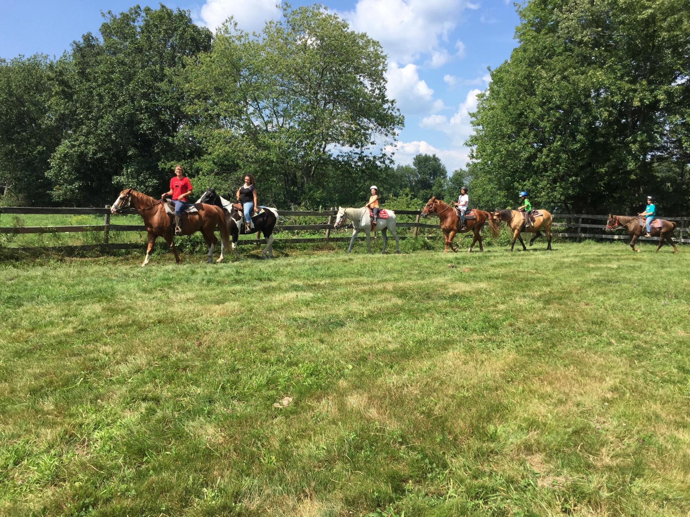 a group of people riding on the back of a horse in a field