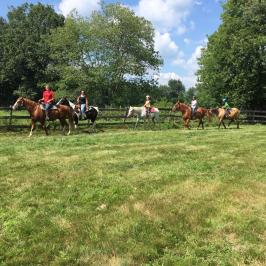 a group of people riding on the back of a horse in a field