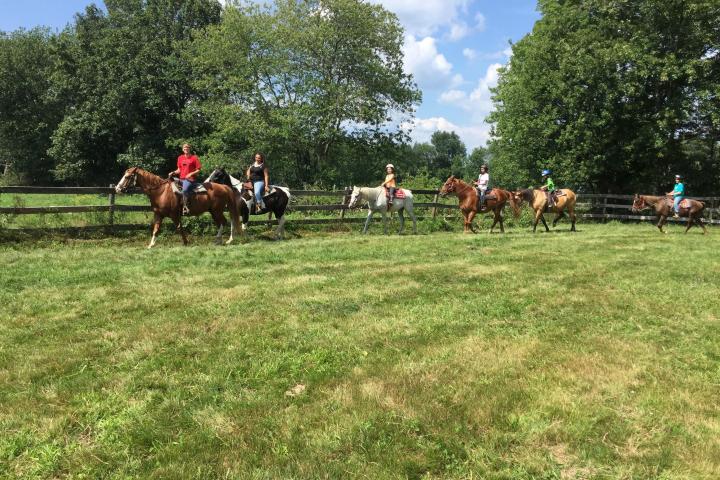a group of people riding on the back of a horse in a field