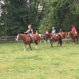 a group of people riding a horse in a field
