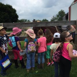 a group of people that are standing in the grass