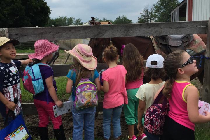 a group of people that are standing in the grass