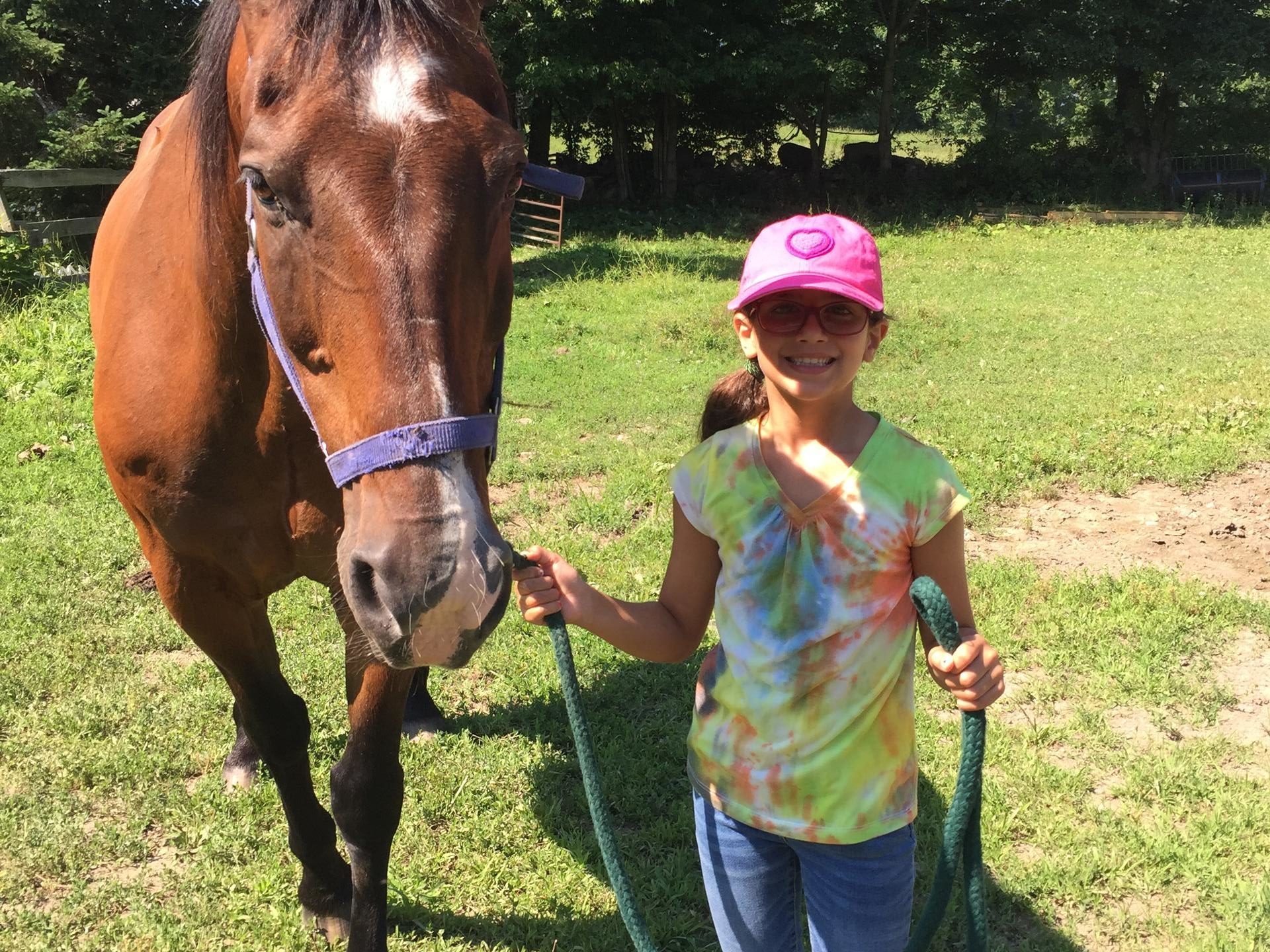 a brown horse standing in the grass