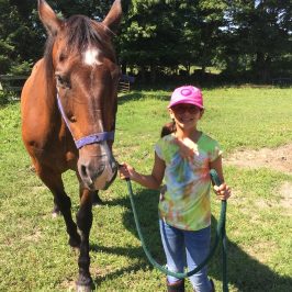 a brown horse standing in the grass