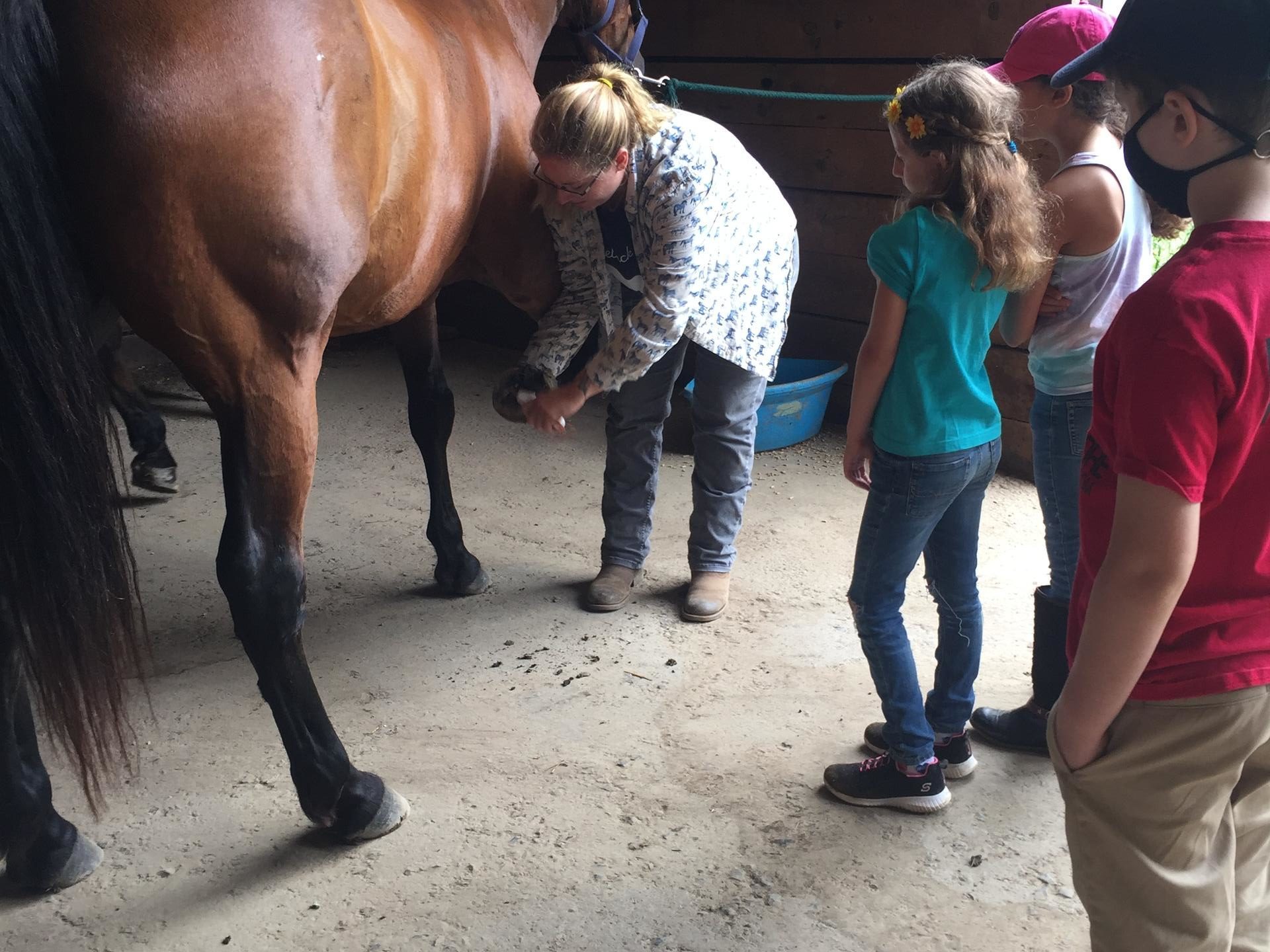 a brown horse standing next to a building