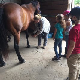 a brown horse standing next to a building