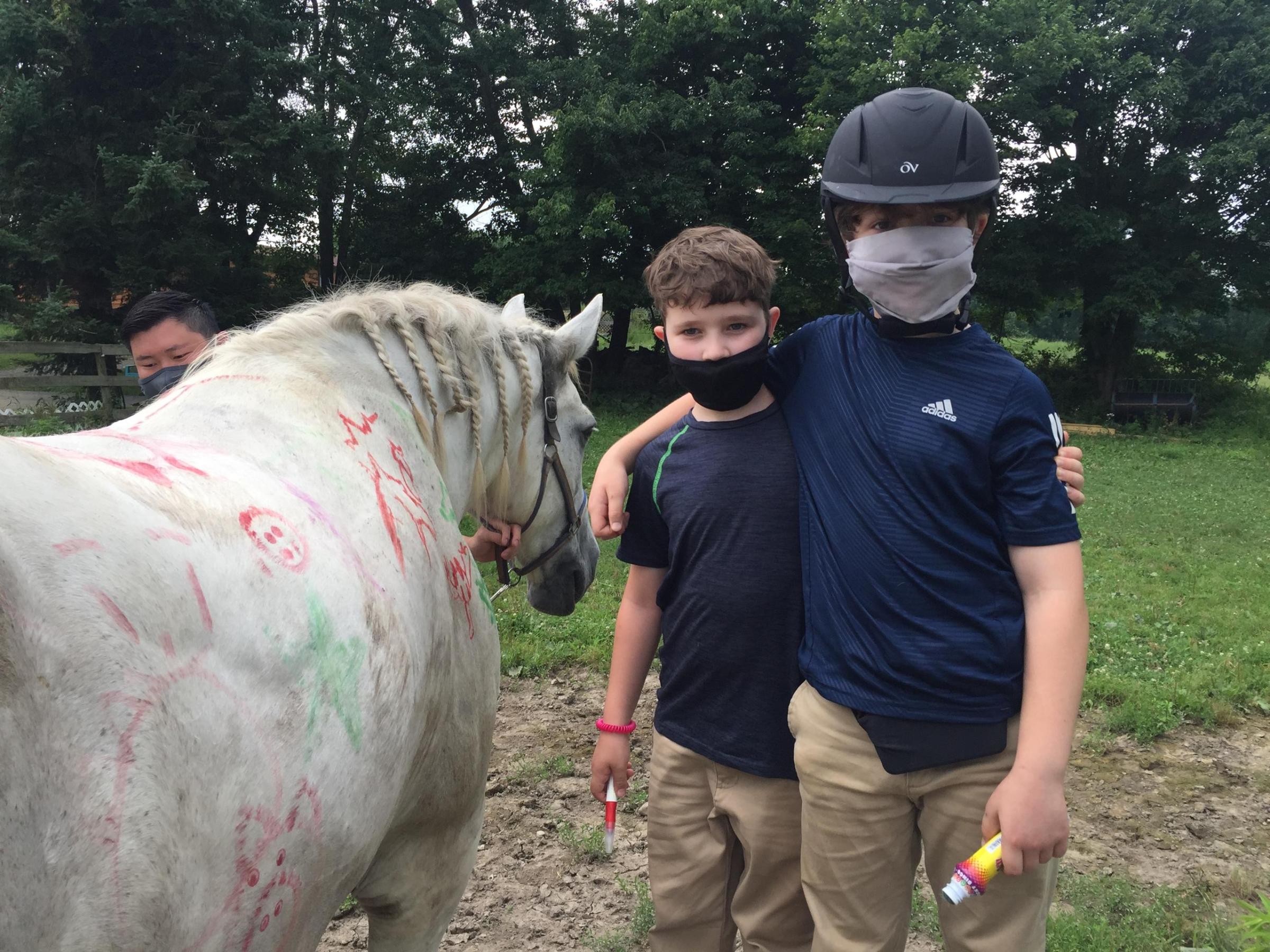 a person petting a horse