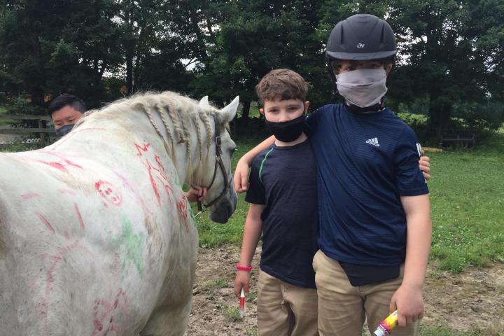 a person petting a horse