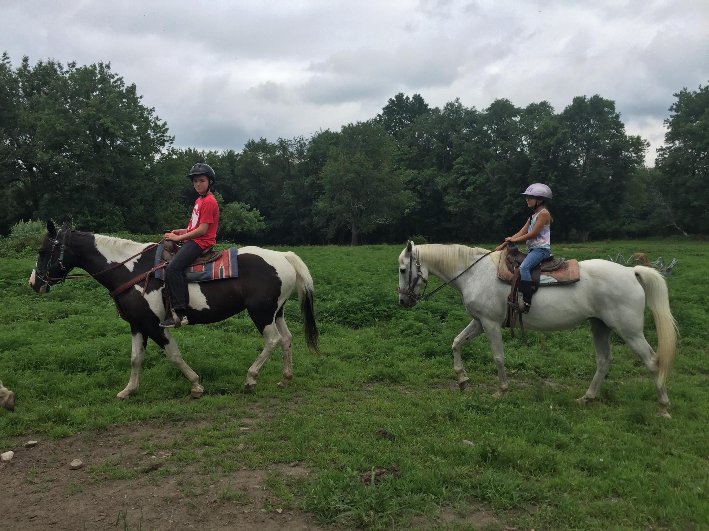 a person riding a horse in a field