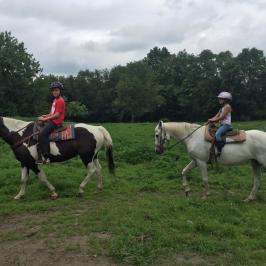a person riding a horse in a field