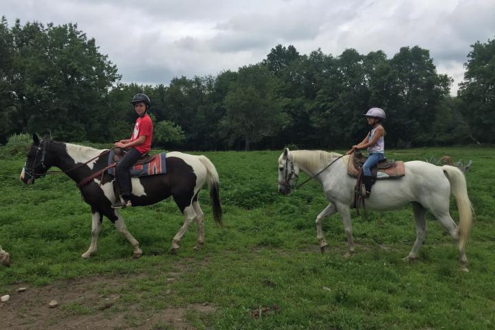 a person riding a horse in a field