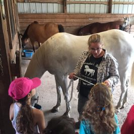 a group of stuffed animals