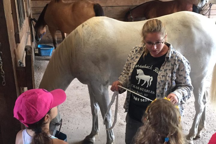 a group of stuffed animals