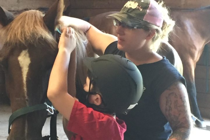 a person standing in front of a horse