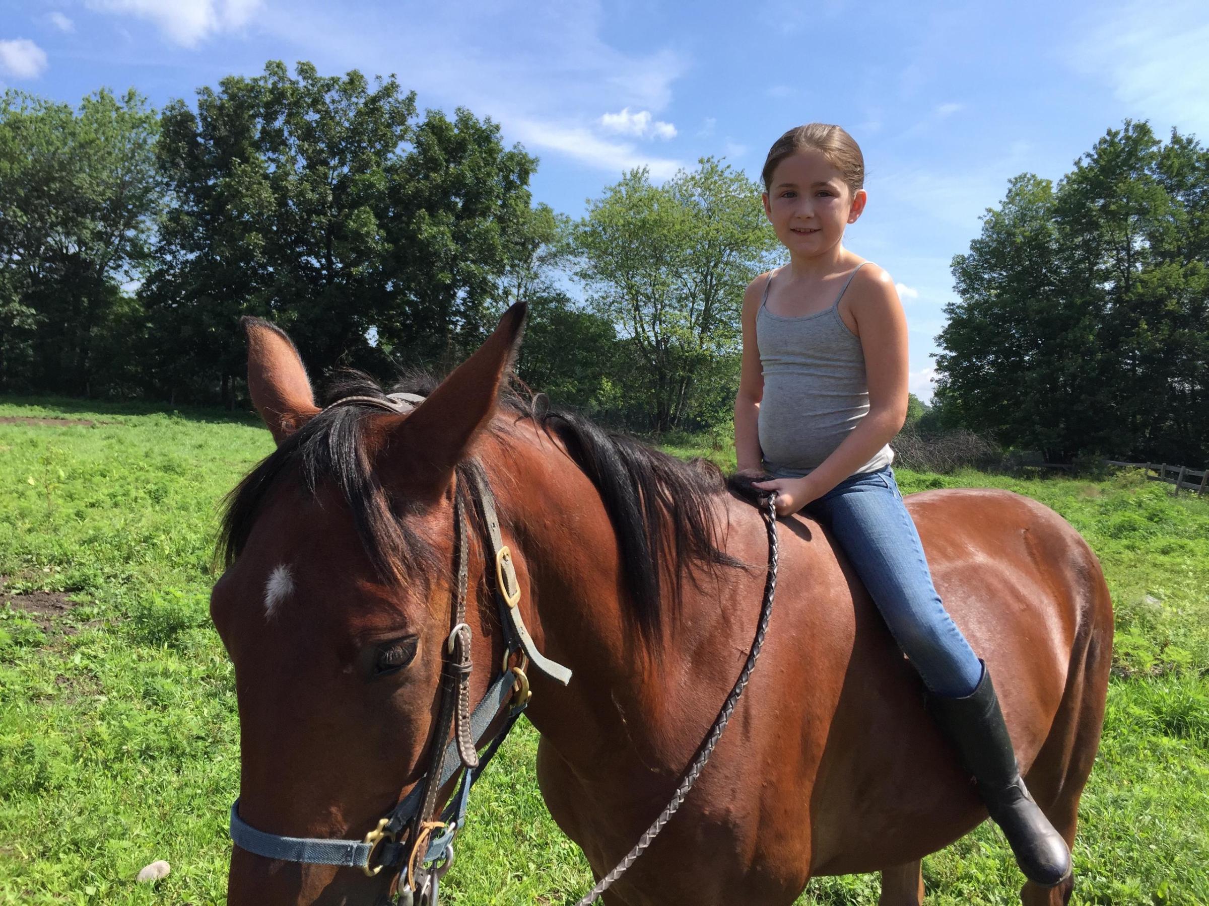 a person riding a horse in a field