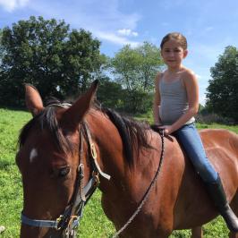 a person riding a horse in a field