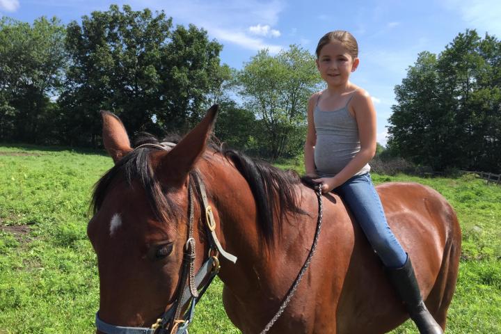 a person riding a horse in a field