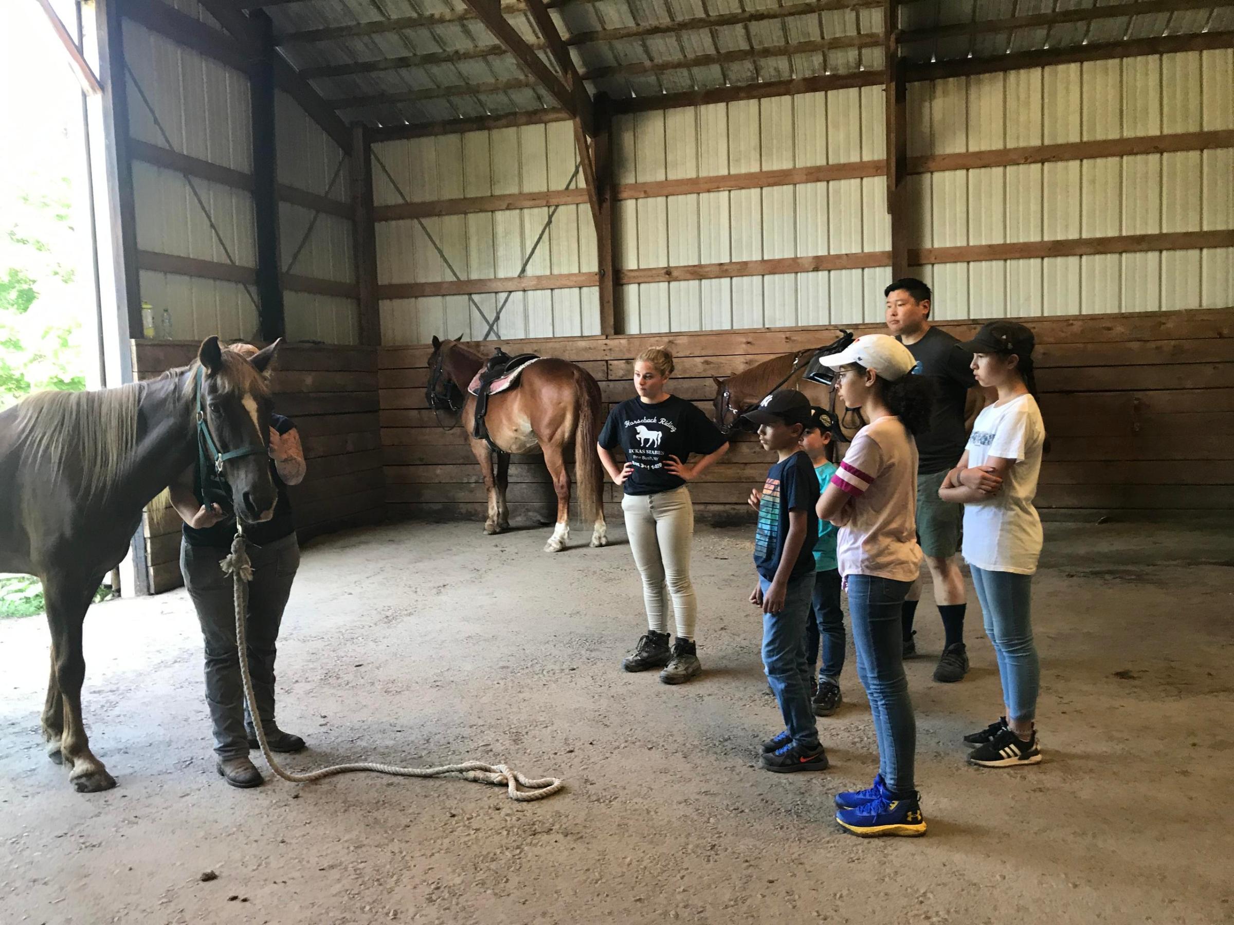 a group of people standing next to a cow