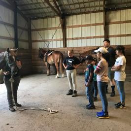 a group of people standing next to a cow