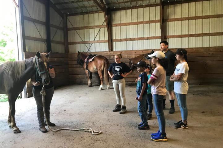 a group of people standing next to a cow
