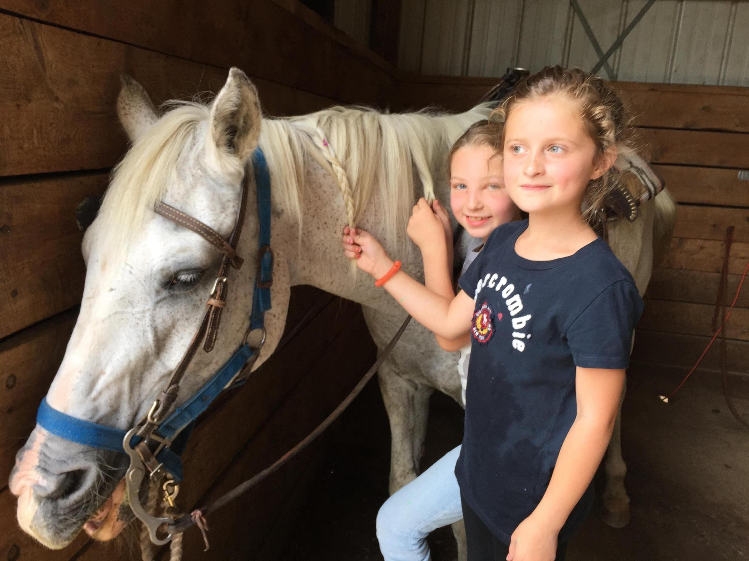 a small child is petting a horse