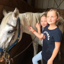 a small child is petting a horse