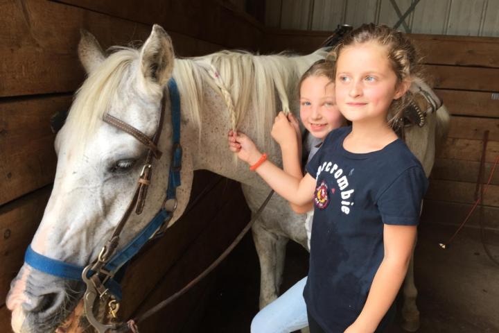 a small child is petting a horse