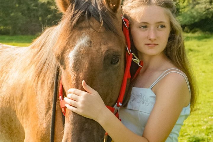 a close up of a brown horse standing next to a person
