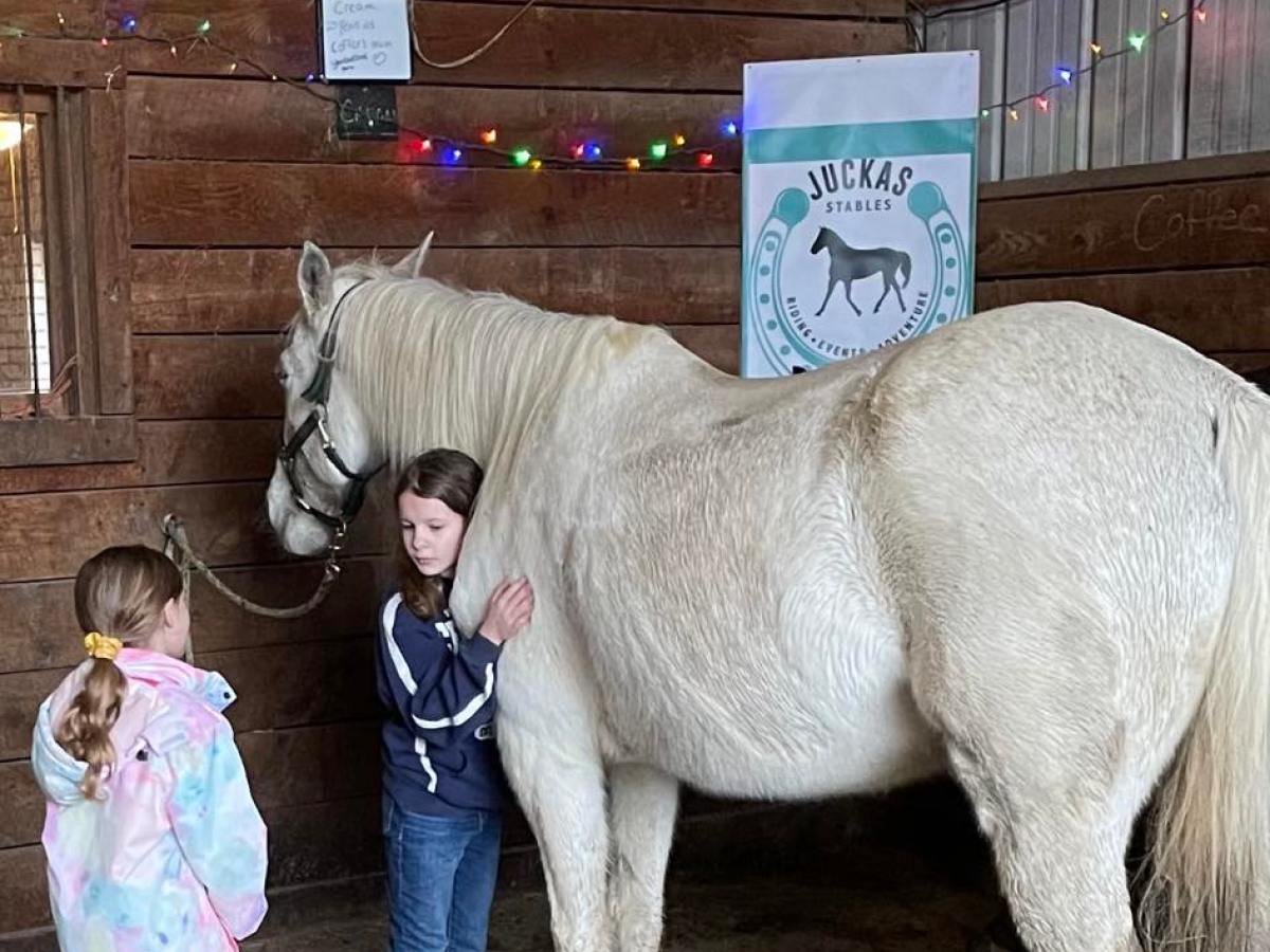 a little girl standing next to a horse