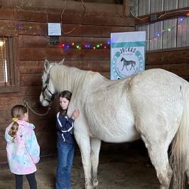 a little girl standing next to a horse