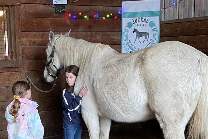a little girl standing next to a horse