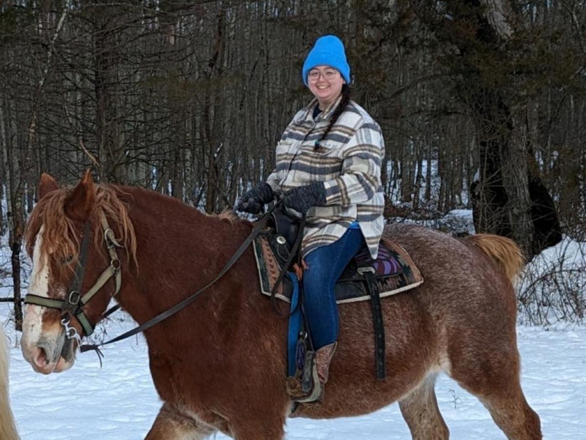 a man riding a horse in the snow