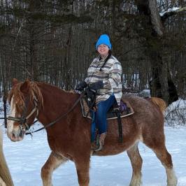 a man riding a horse in the snow
