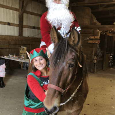 a brown horse standing next to a person