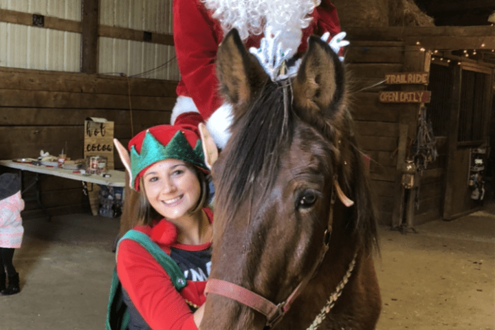 a brown horse standing next to a person