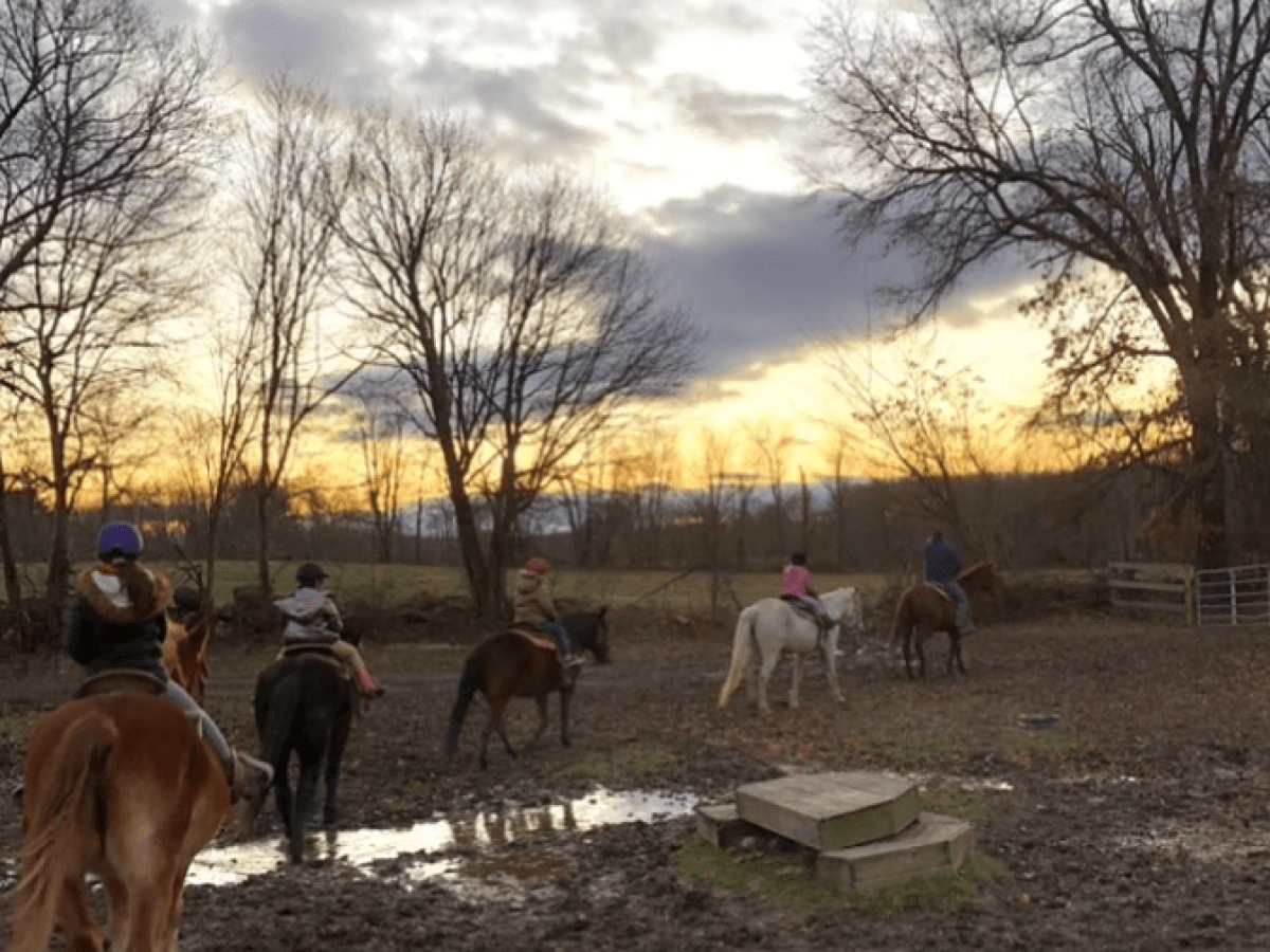 a group of people riding on the back of a horse
