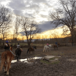 a group of people riding on the back of a horse