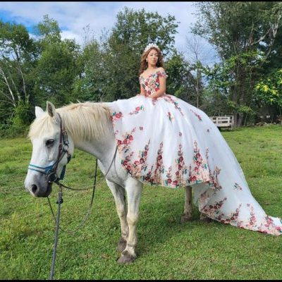 Woman in floral gown sits on a white horse in a grassy field.