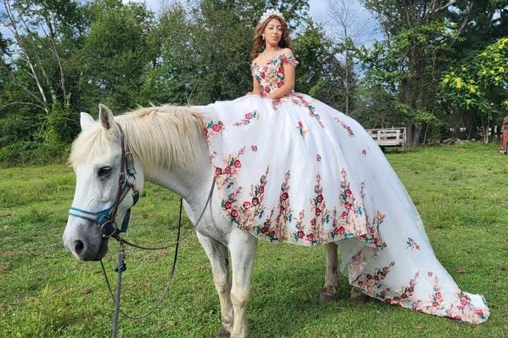 Woman in floral gown sits on a white horse in a grassy field.