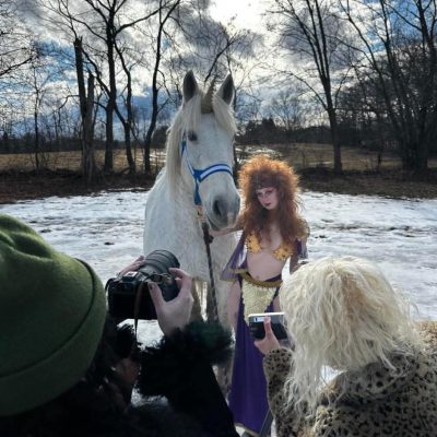a dog that is standing in the snow