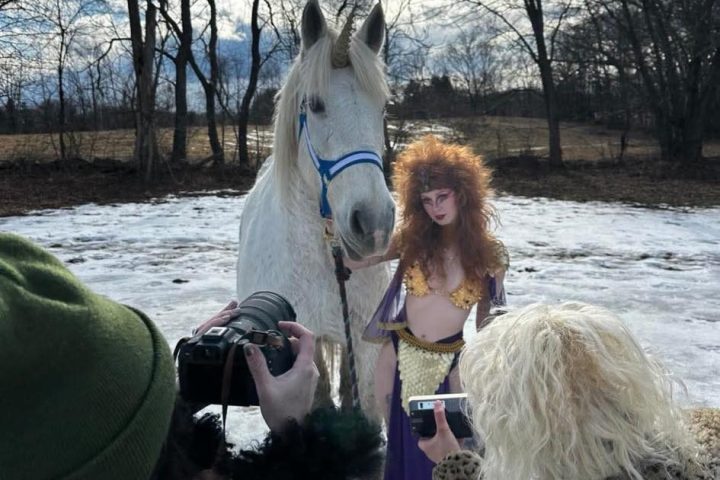 a dog that is standing in the snow