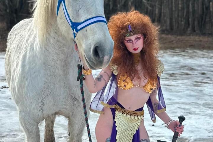 a horse is standing in the snow