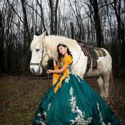 a person on a horse in a forest