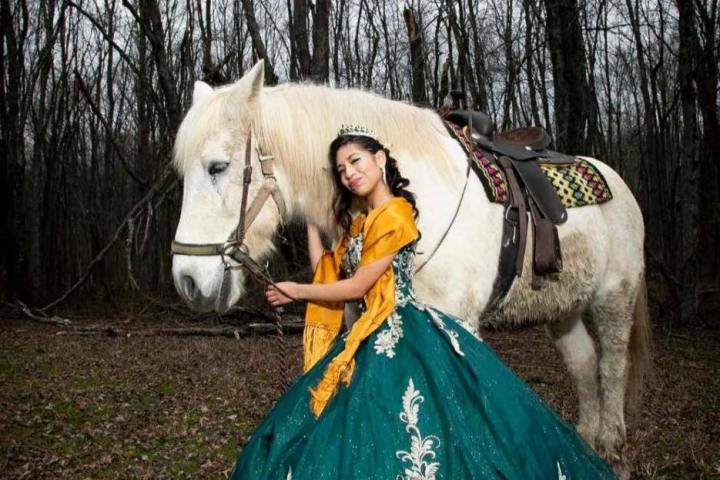 a person on a horse in a forest