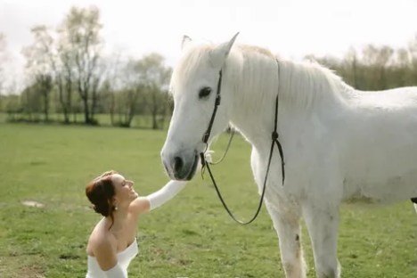 Bride in white gown kneeling beside white horse on grassy field.