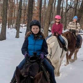 a group of people riding horses on a trail in the snow
