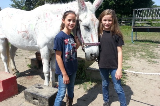 a person standing next to a horse