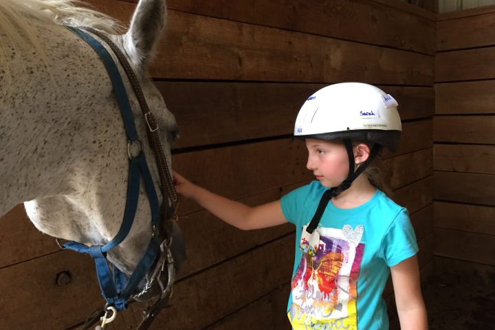 a horse wearing a hat