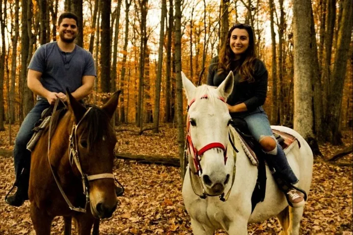 a cow standing in a wooded area
